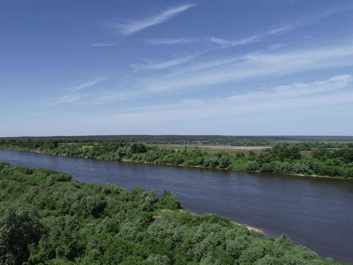 Природа: Лес, заповедник